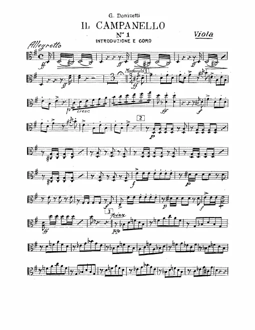 Violas