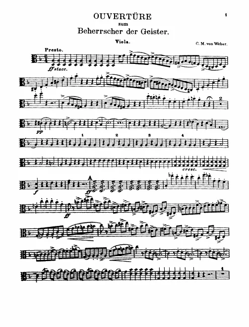 Violas