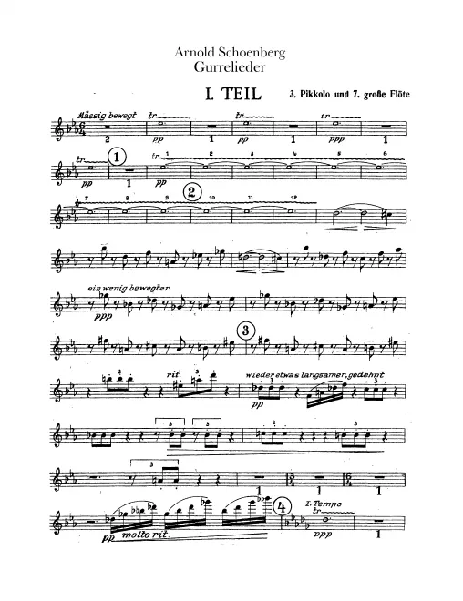 Flute 7/Piccolo 3