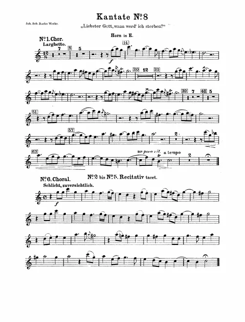 Horn (E)