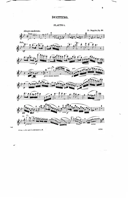 First page of Duettino Hongrois
