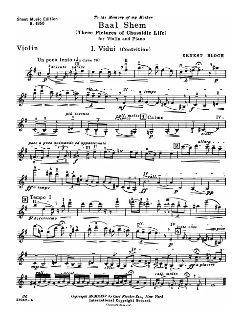 Violin