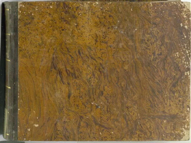 First page of La vedova di bel genio