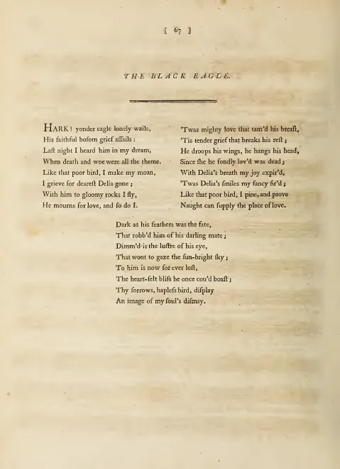First page of The Black Eagle