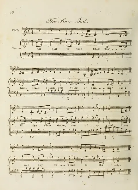 First page of The Rose Bud, Hob.XXXIa:135