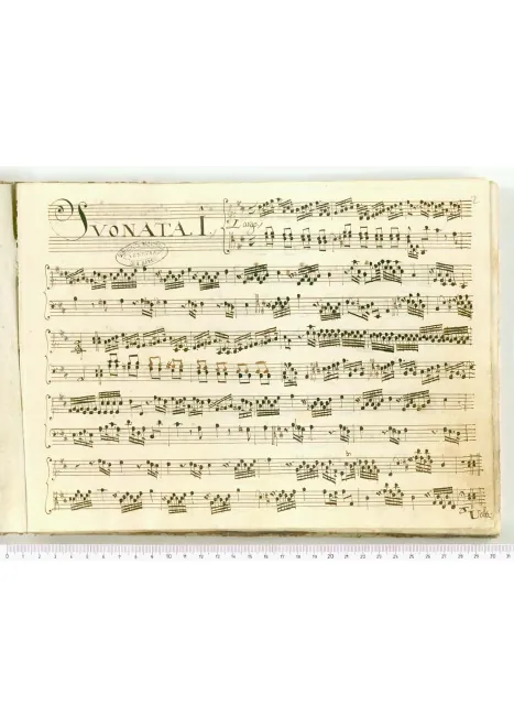 First page of Harpsichord Sonata in D major