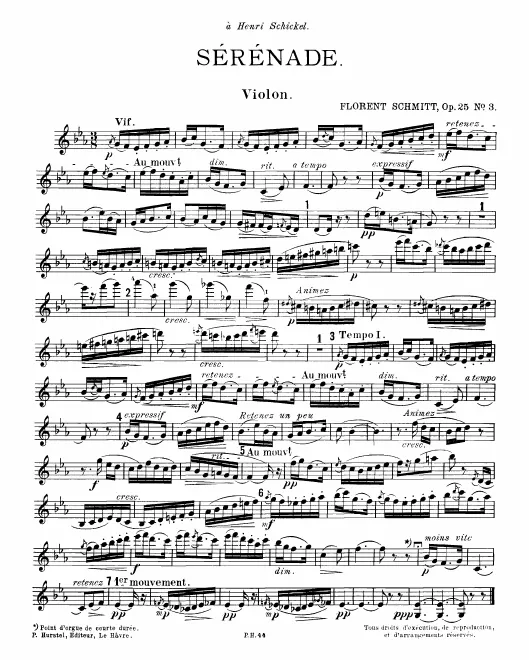 Violin
