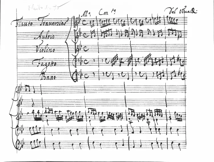 First page of Concerto for Violin, Flute, Oboe, Bassoon and Continuo in G minor