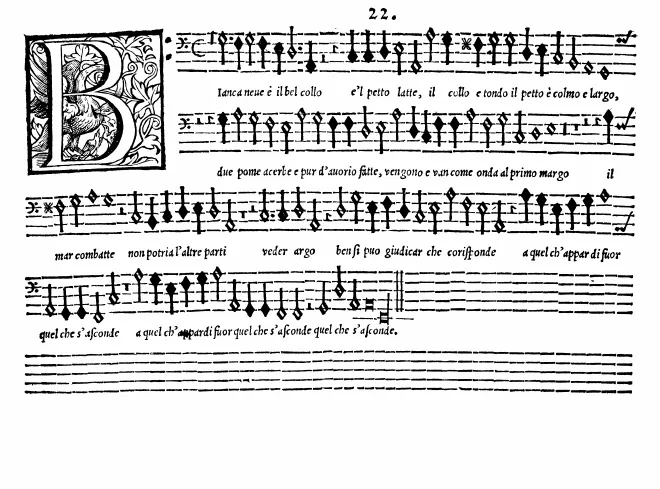 Bassus