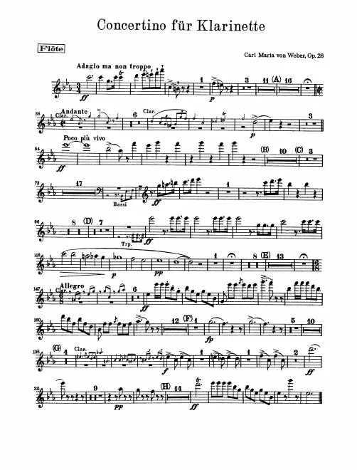 Flute