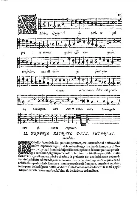 Tenor 2