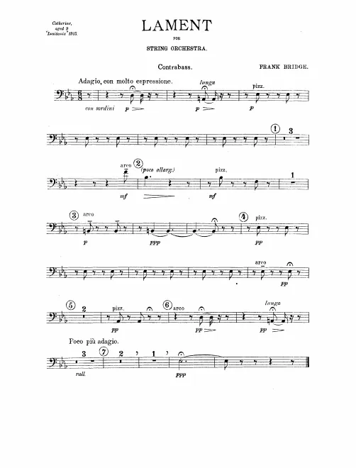 Basses
