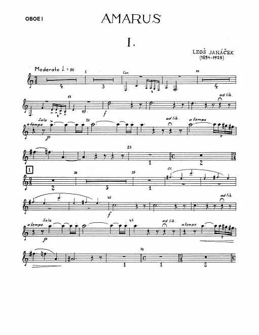 First page of Amarus
