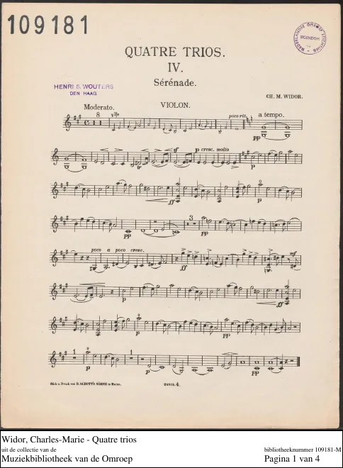 Violin