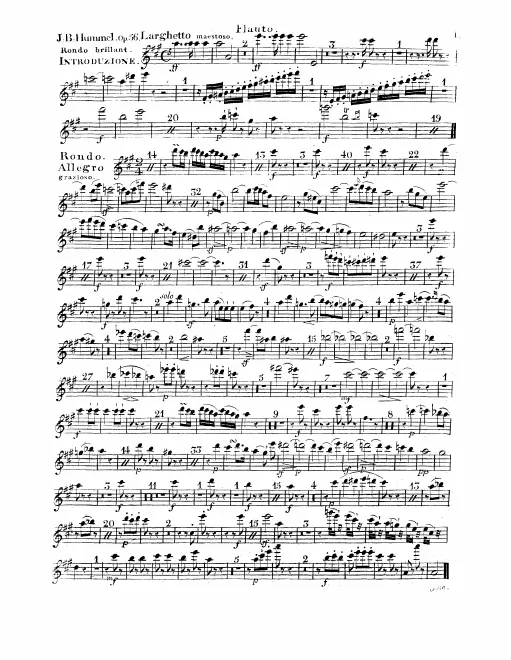 Flute