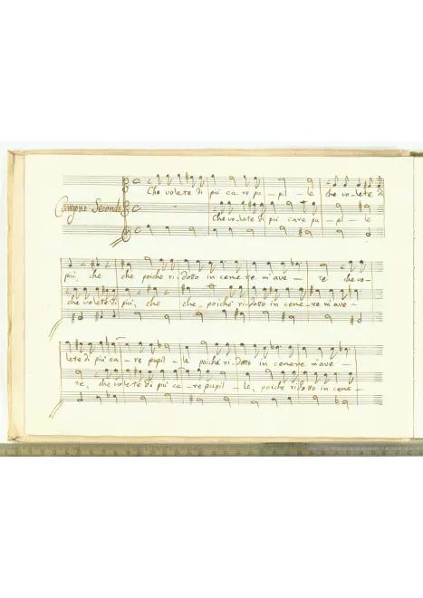 First page of Che volete di piu' care pupille, SF 401