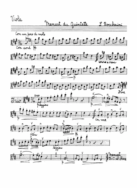 Viola