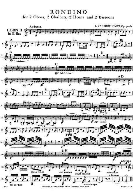 Horn 2 (E♭)