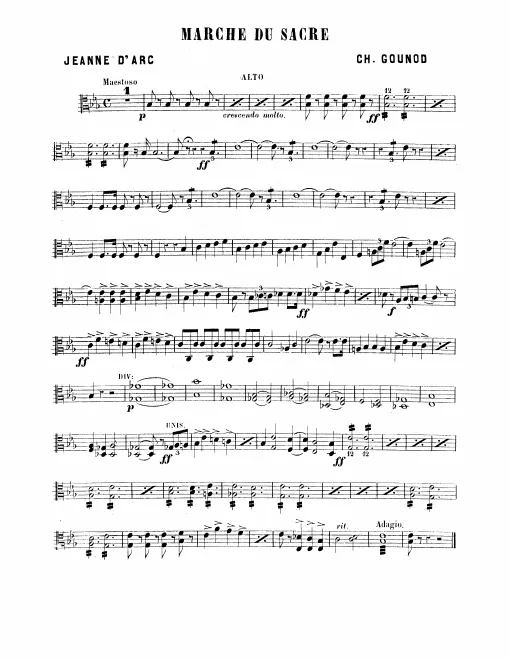 Violas