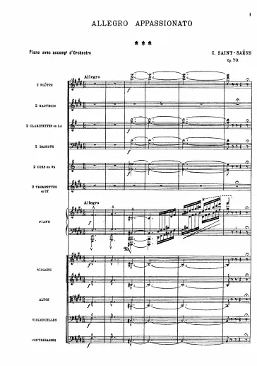 First page of Allegro Appassionato