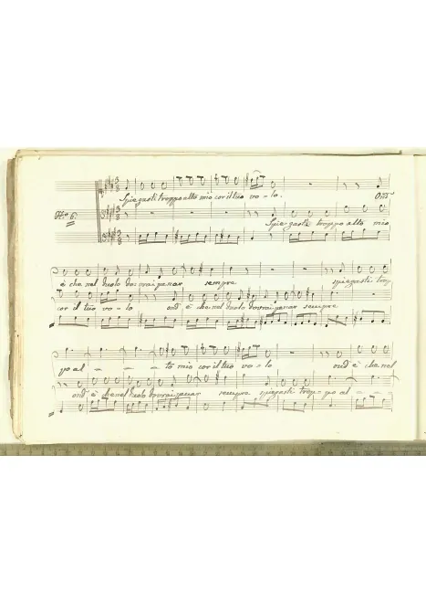 First page of Spiegasti troppo alto