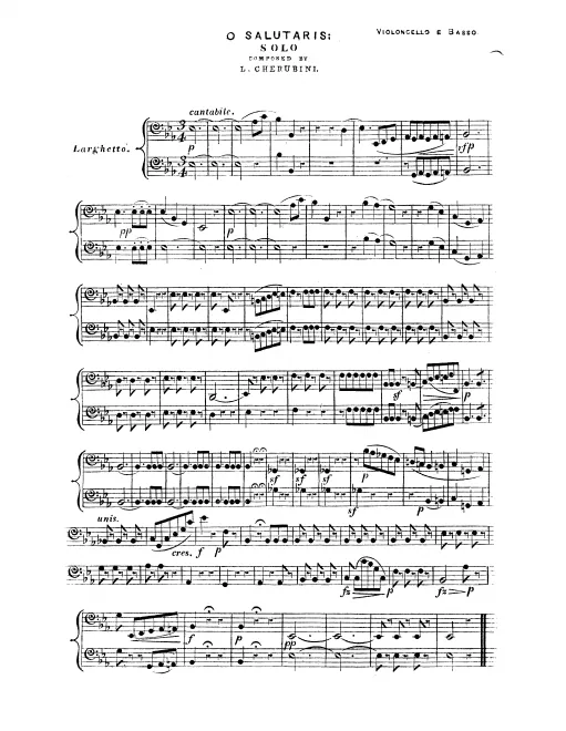 Cellos/Basses