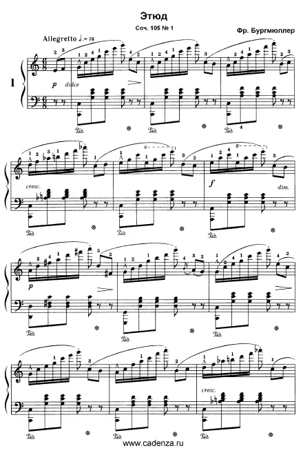 First page of 12 Études brillantes et mélodiques