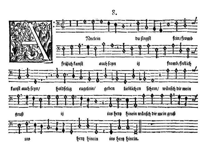 Bassus