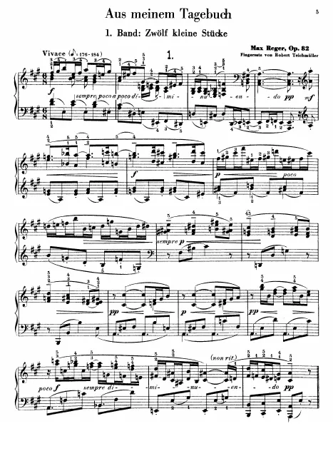 First page of Aus meinem Tagebuch