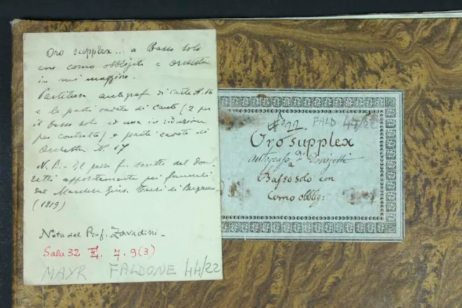 First page of Oro supplex
