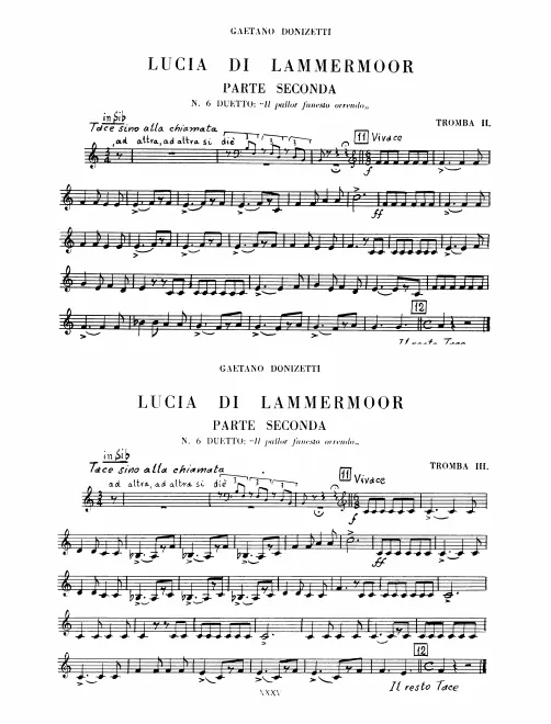 Trumpet 3 (B)