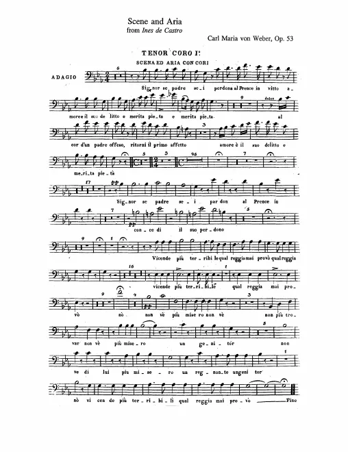 Tenor