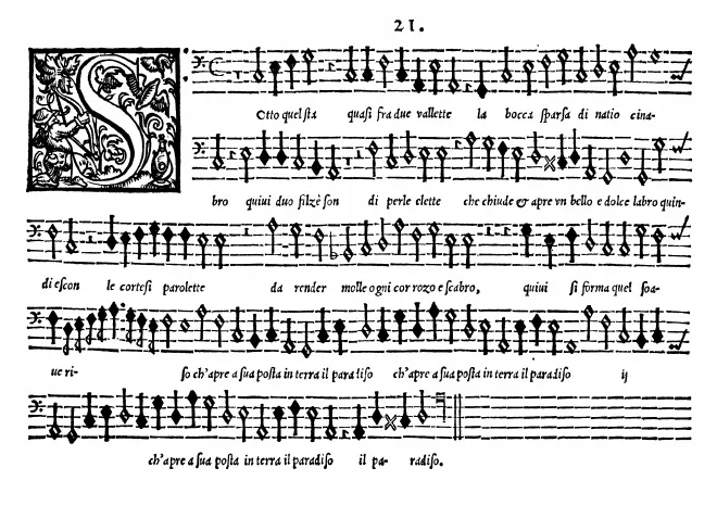 Bassus