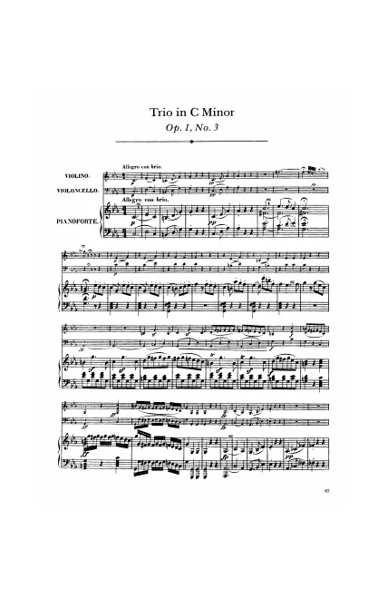 First page of Piano Trio in C minor