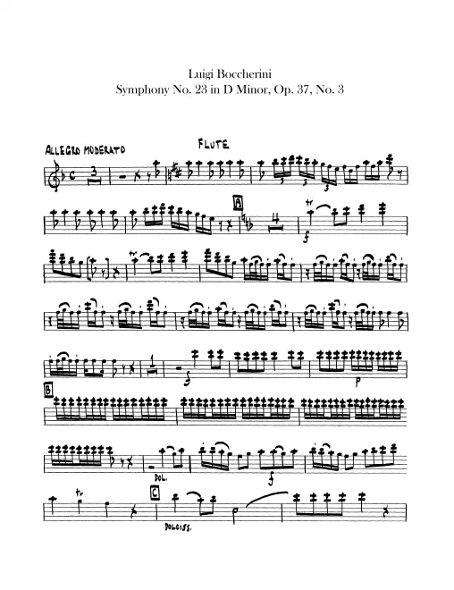 First page of Symphony in D minor