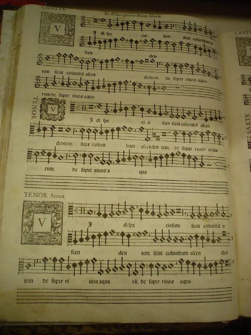 First page of Vidi speciosam