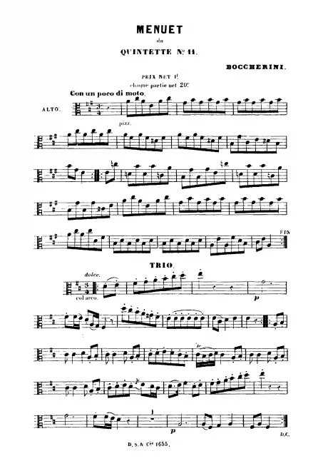 Viola
