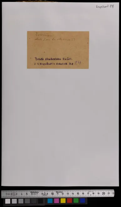 First page of Gl'eccessi della gelosia