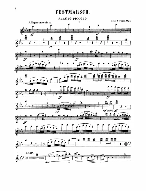 First page of Festmarsch